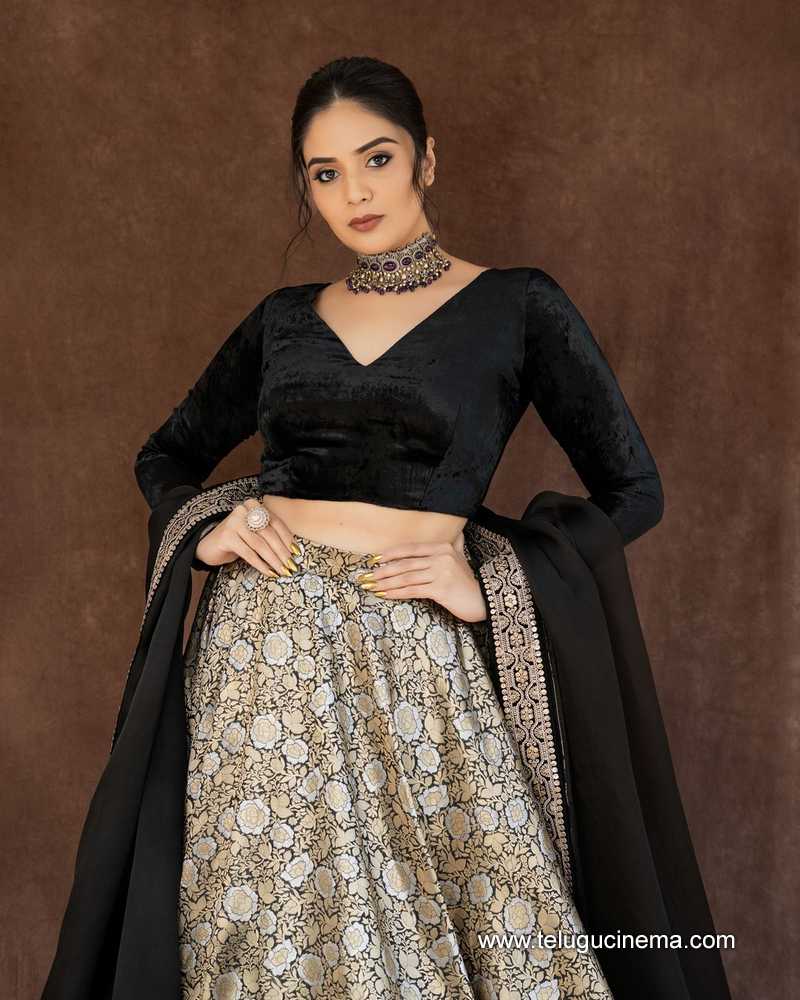 sreemukhi 130824 13
