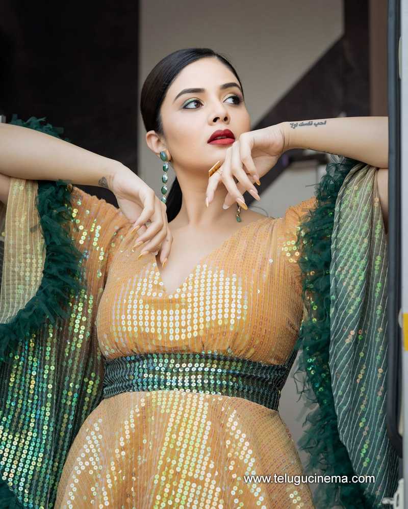 sreemukhi stills 120824 08