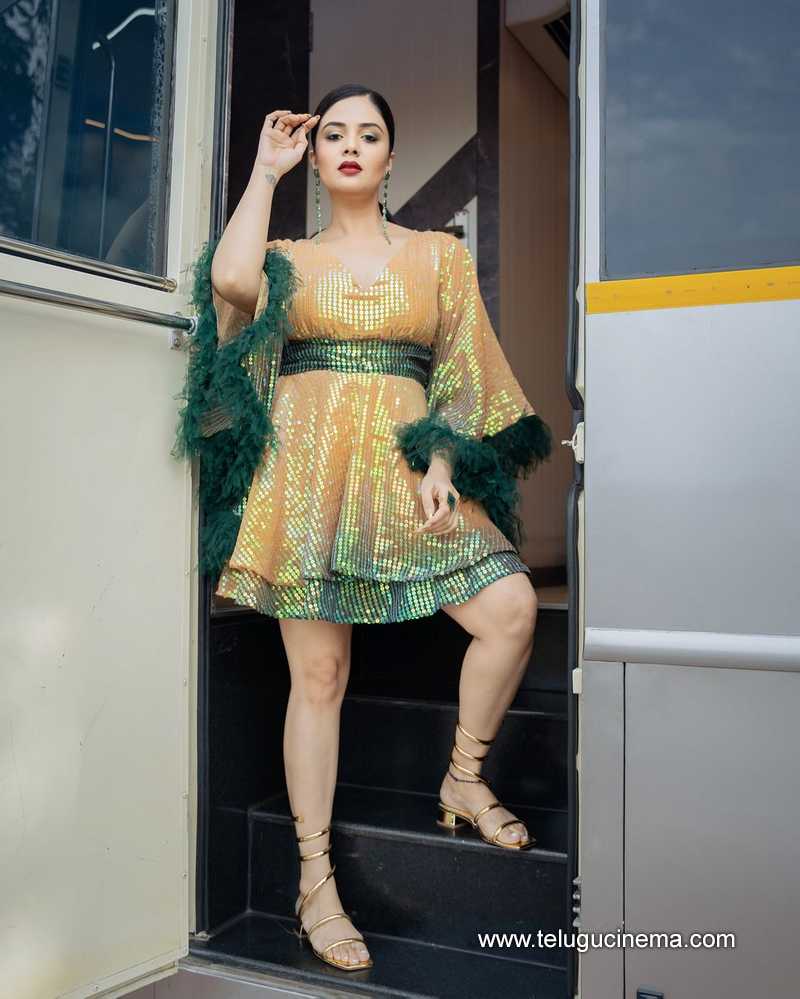 sreemukhi stills 120824 09