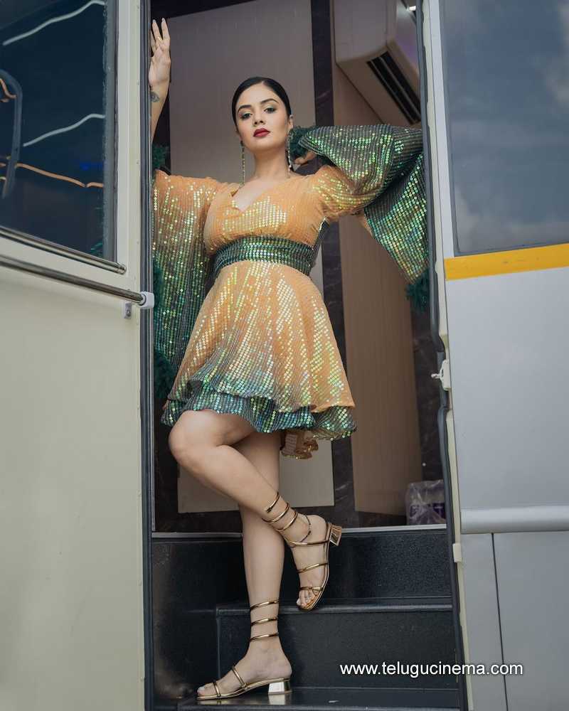 sreemukhi stills 120824 17