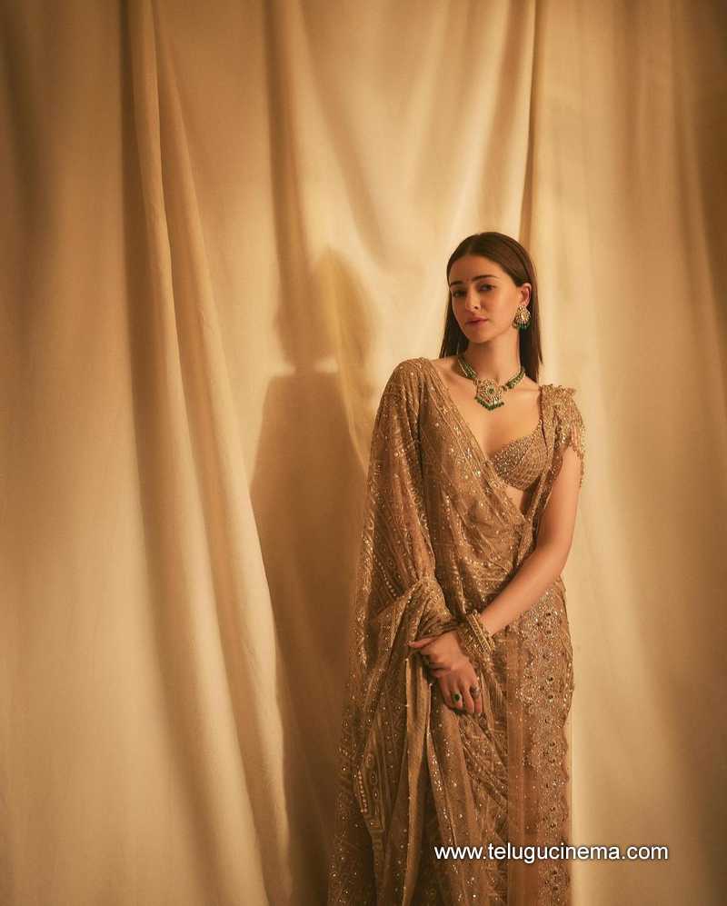 ananya stills 090924 03
