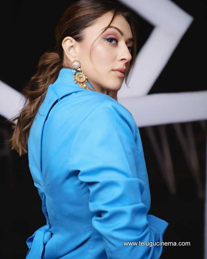 hansika stills 100924 04