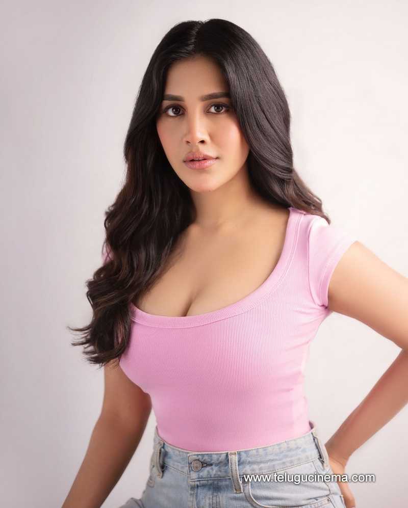 nabhanateshi stills 180924 02