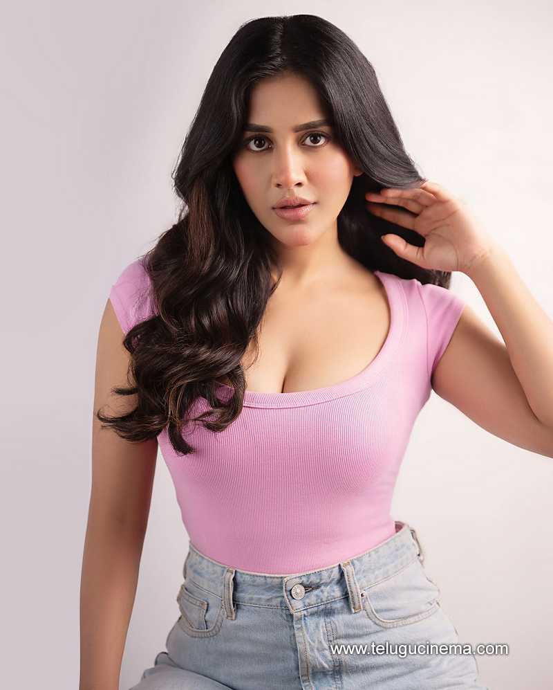 nabhanateshi stills 180924 04
