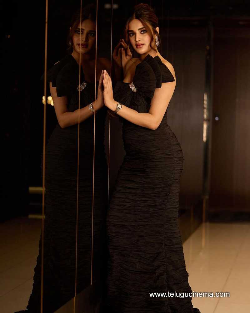 nidhi stills 190924 05
