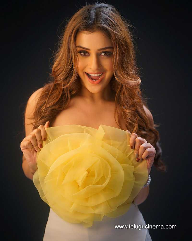 paayal stills 240924 02