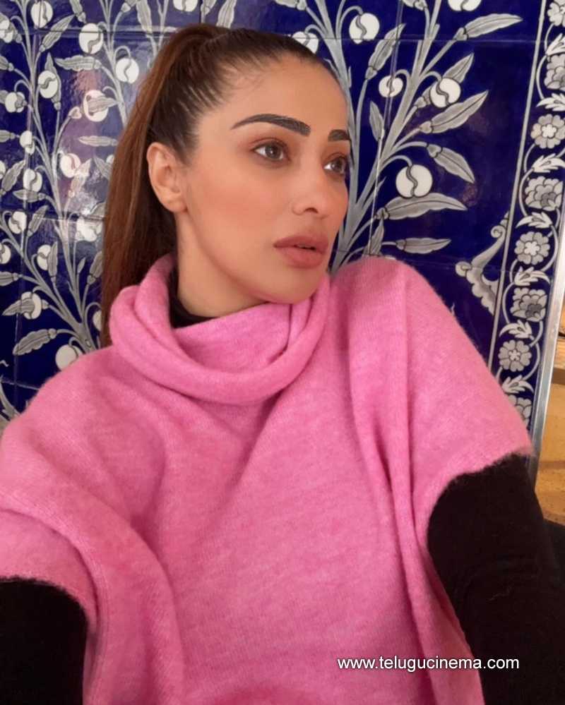raailaxmi stills 190924 04