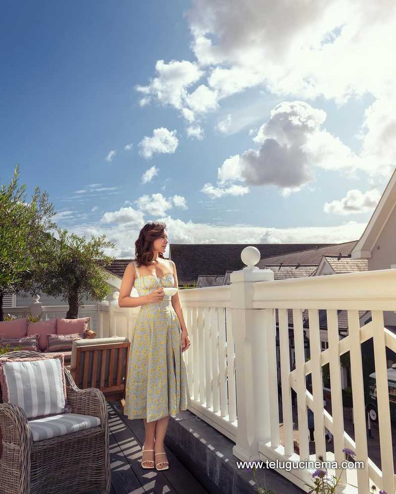 raashikhanna stills 240924 02