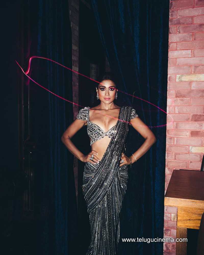 shriyasaran stills 210924 03