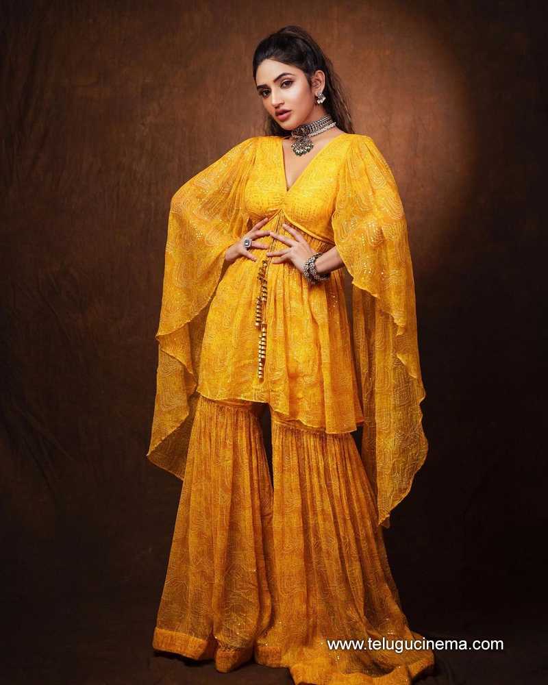 sreeleela stills 050924 06