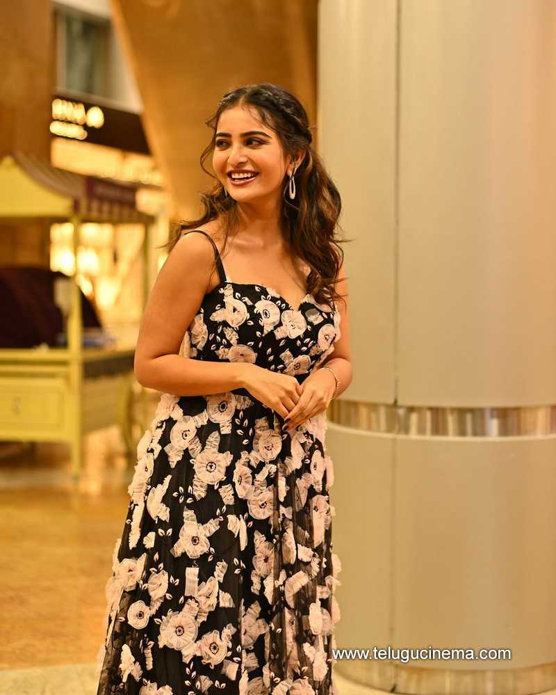 ananya stills 071024 02