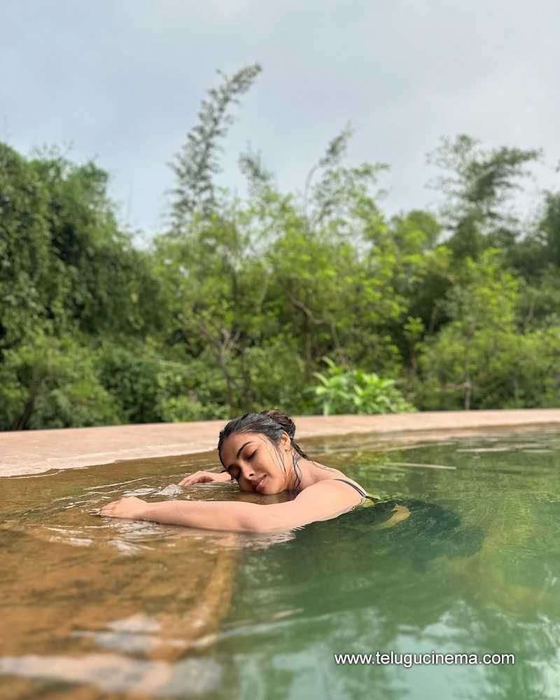 divi stills 251024 02