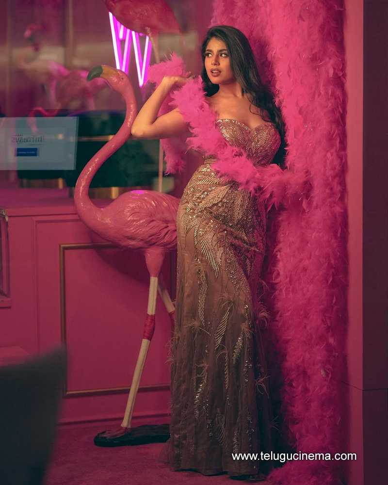 faria stills 281024 03