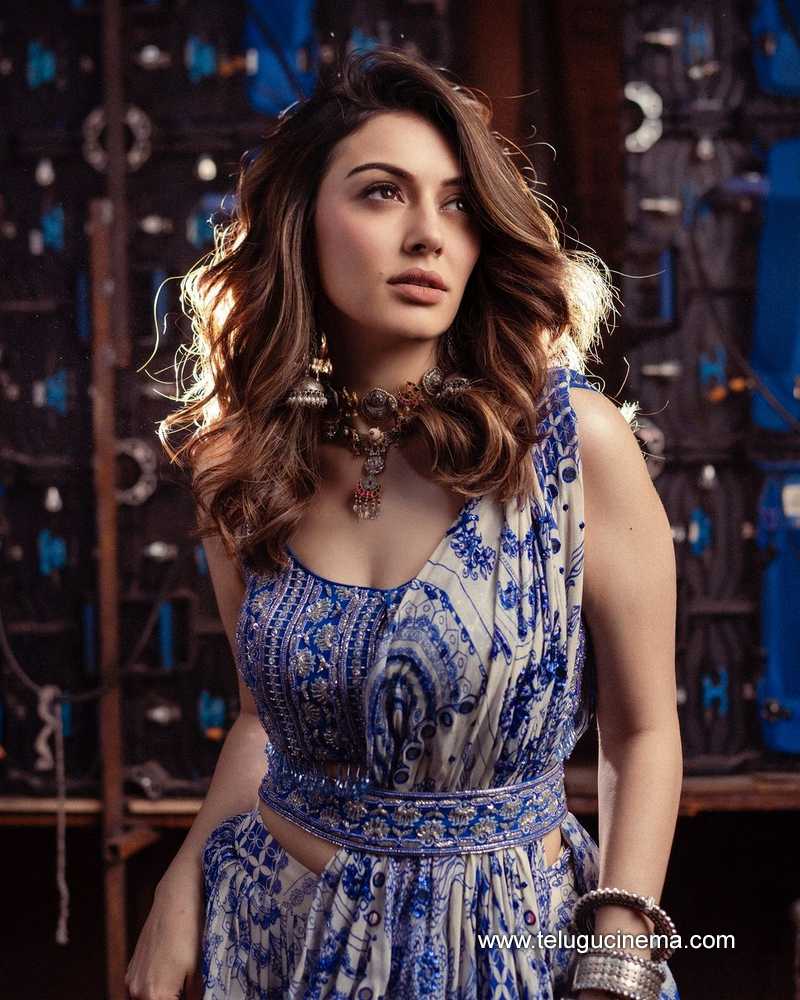 hansika stills 181024 02