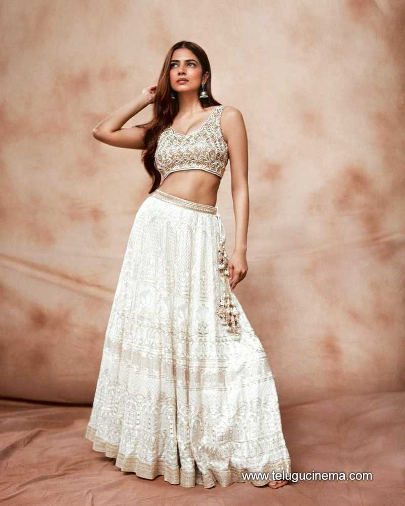 malavikamohanan stills 261024 02