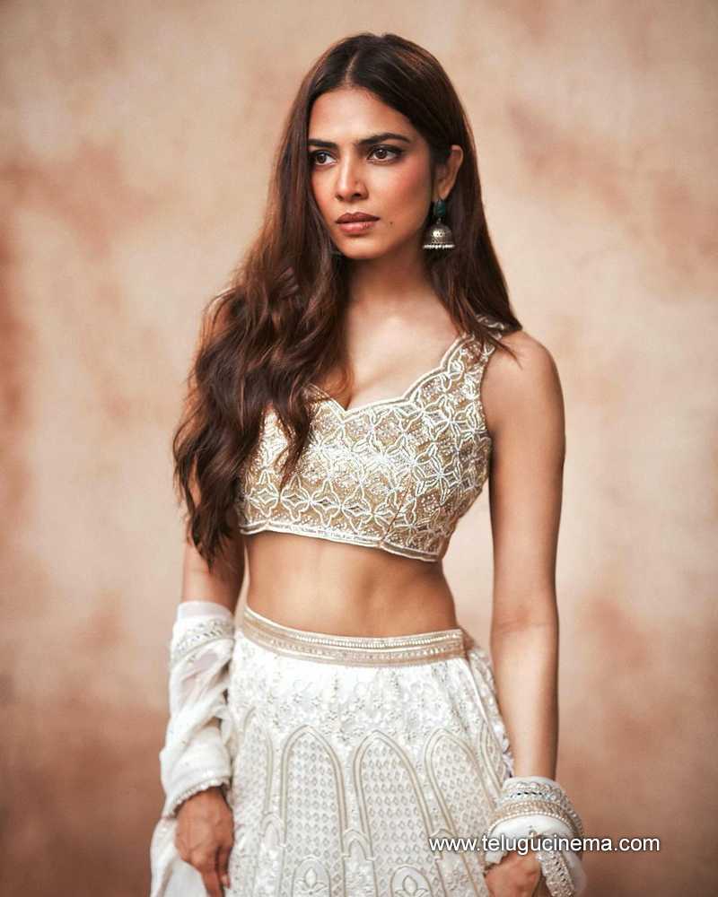 malavikamohanan stills 261024 03
