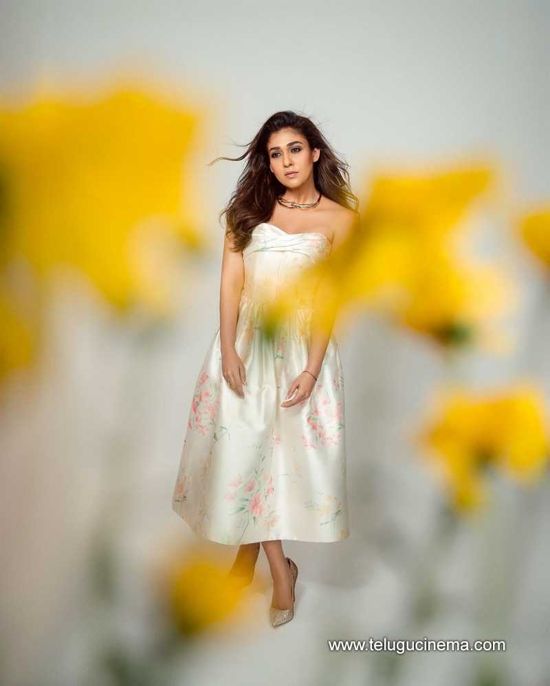 nayantara 291024 02