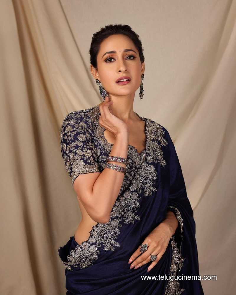 pragya stills 181024 05