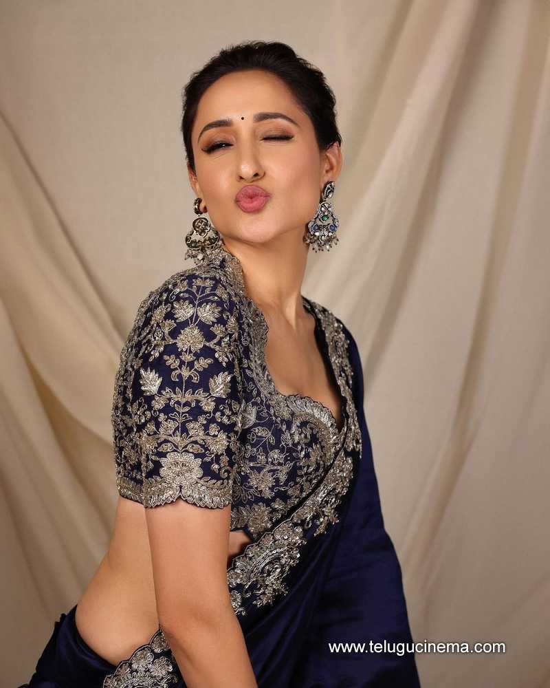 pragya stills 181024 10