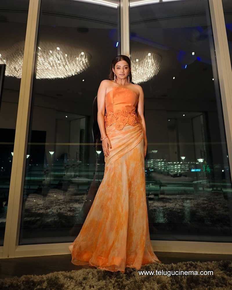 priyamani stills 051024 02