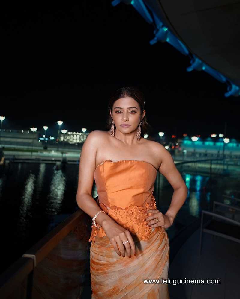 priyamani stills 051024 06