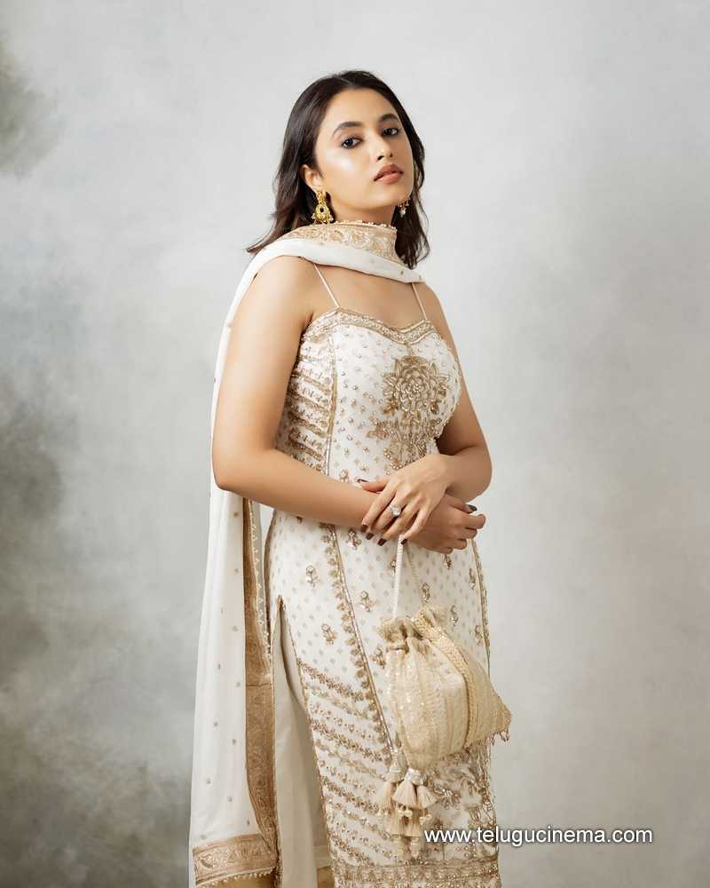 priyanka mohanan stills 311024 03