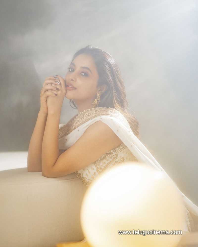 priyanka mohanan stills 311024 04