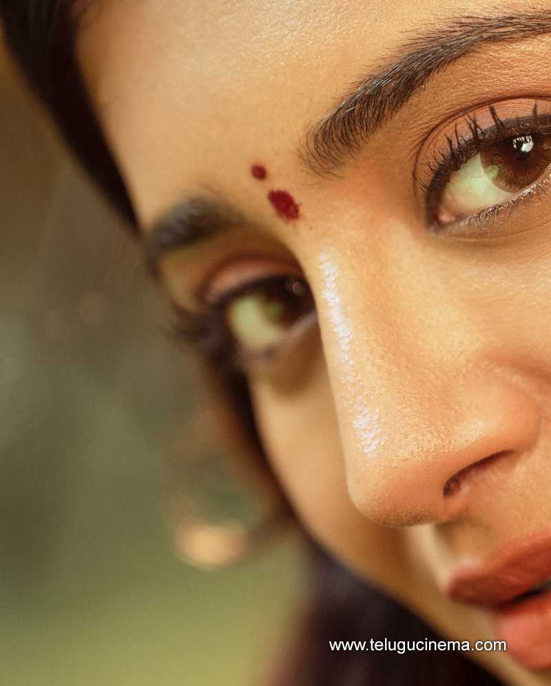 raashikhanna stills 021024 03