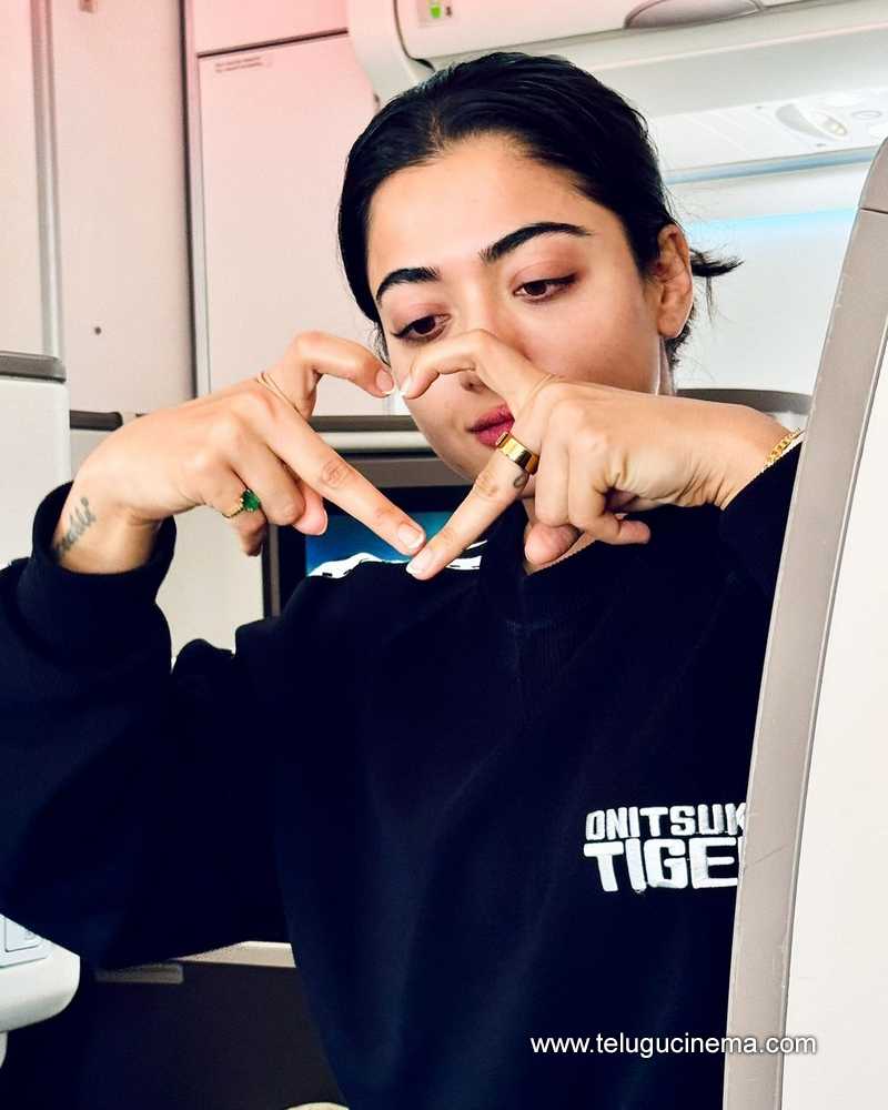 rashmika stills 021024 03