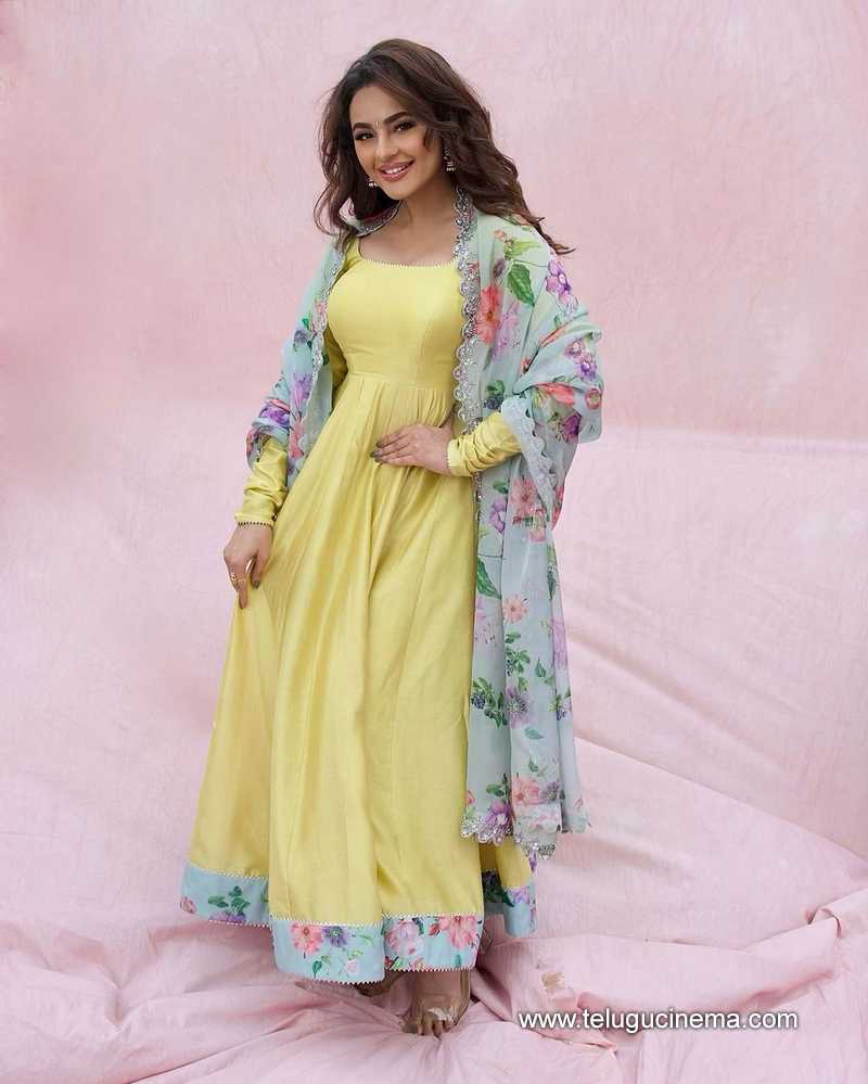 seerat stills 241024 04