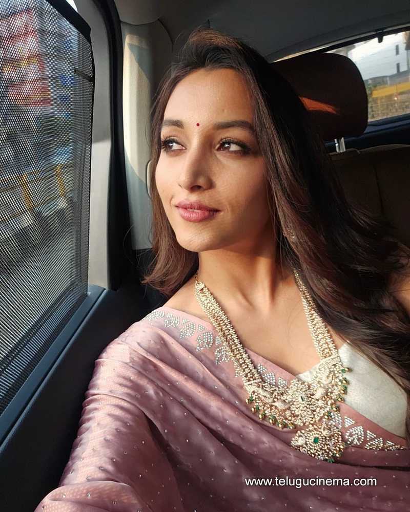 srinidhi stills 311024 02