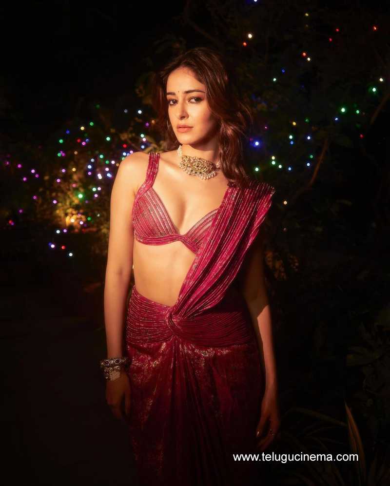 ananya stills 021124 03