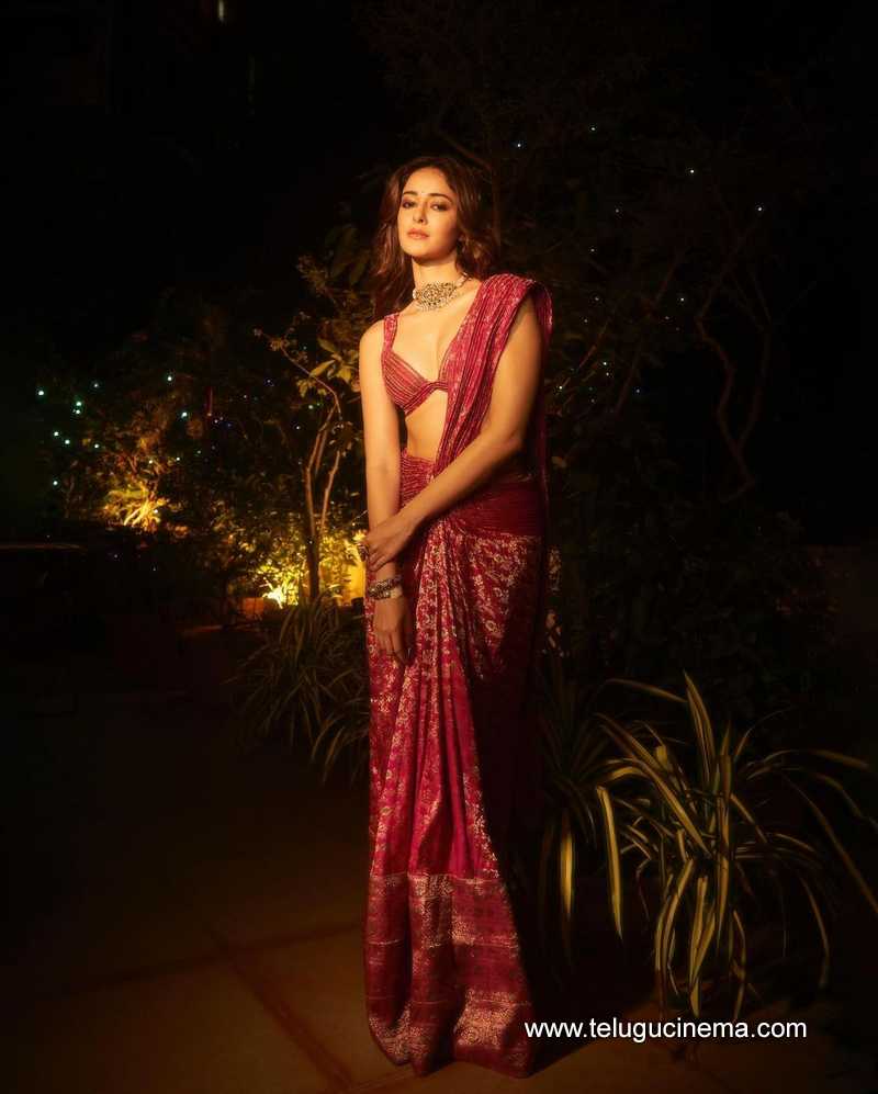 ananya stills 021124 06