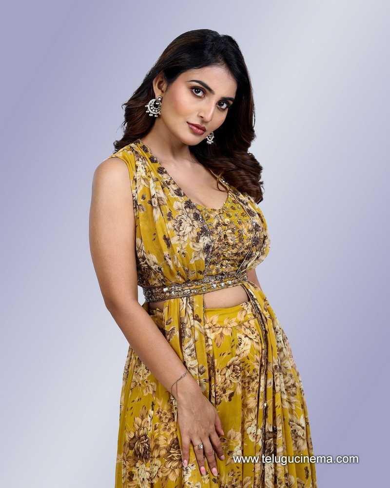 ananya stills 301124 04