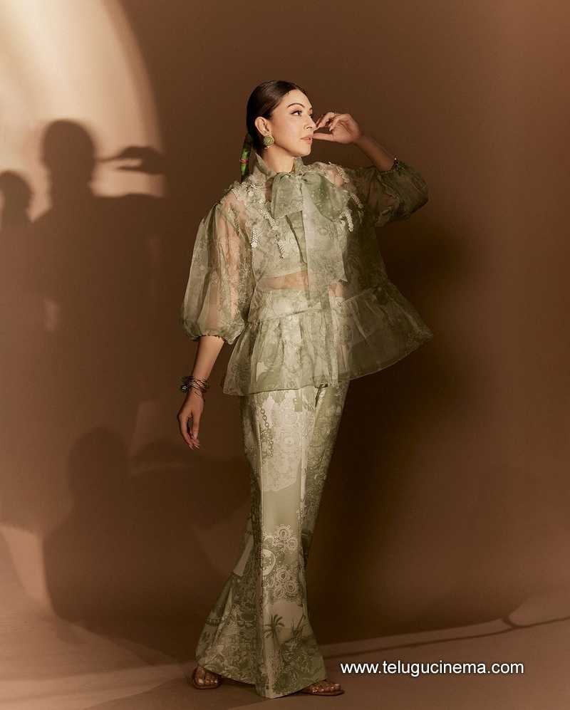 hansika stills 041124 06