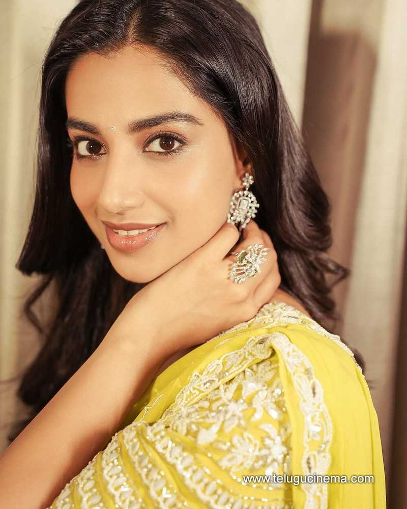 meenajkshi stills 121124 02