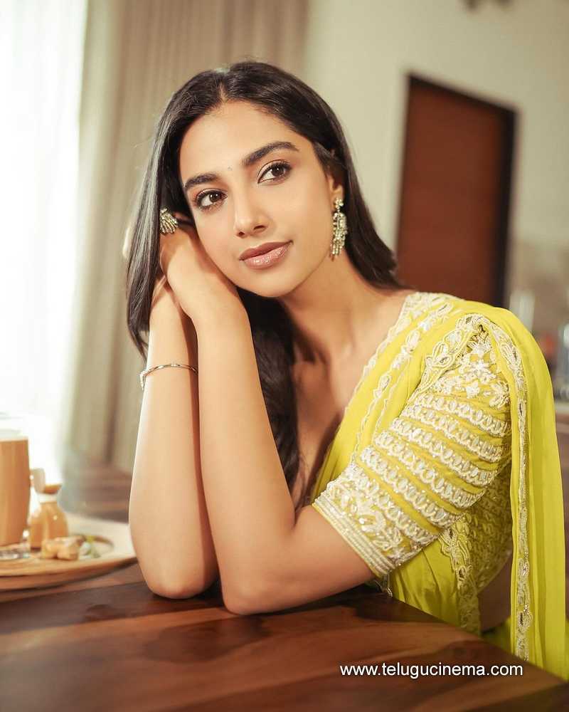 meenajkshi stills 121124 07