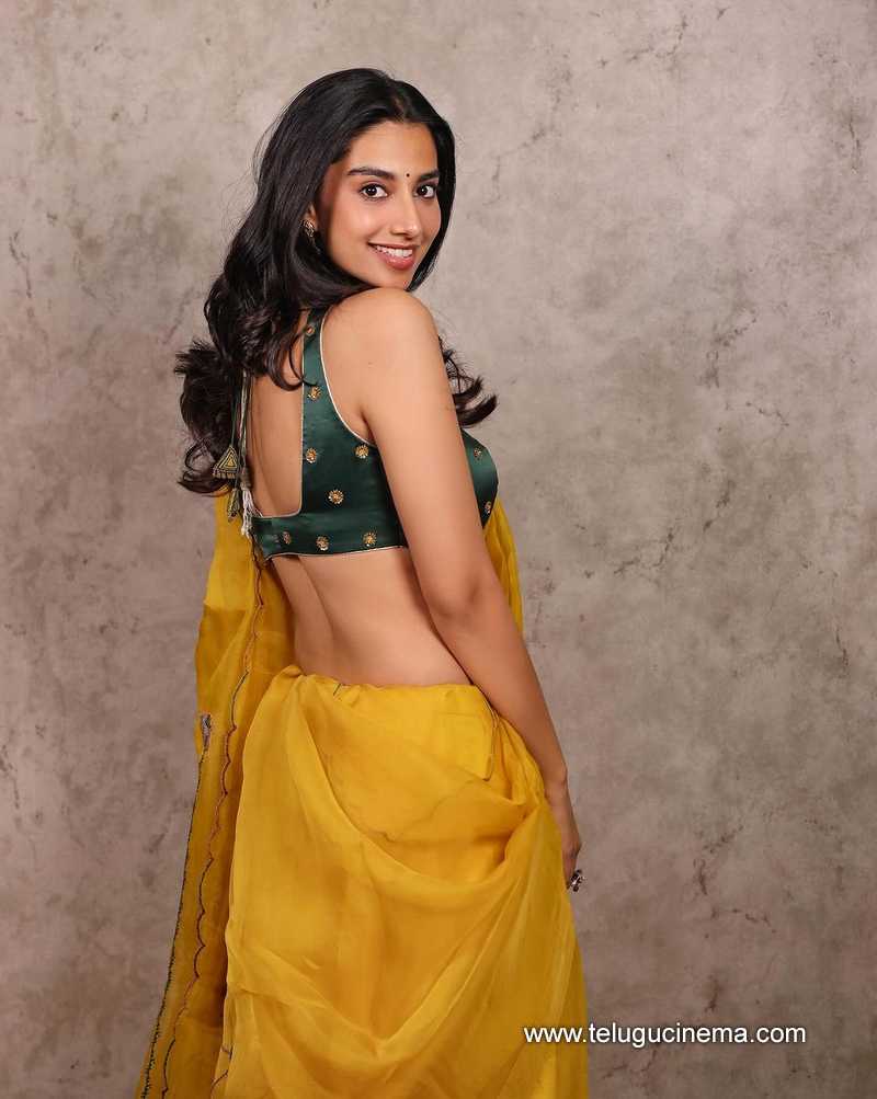 meenakshi stills 061124 02