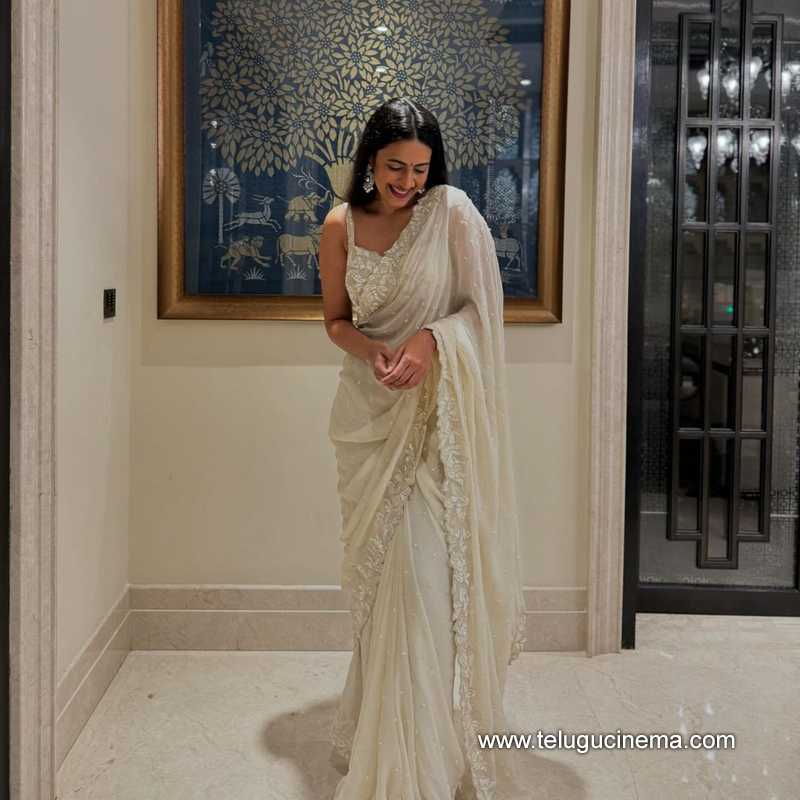 niharika stills 021124 02