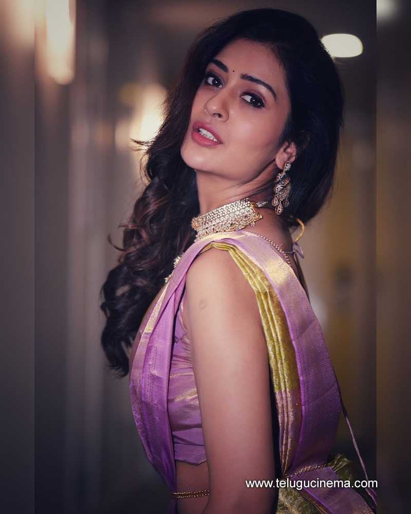 paayal rajput stills 211124 04