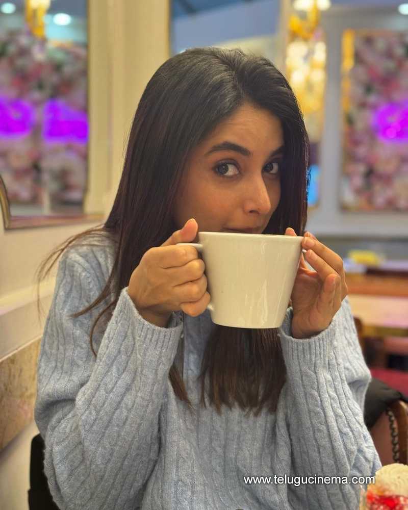 pryanka mohan stills 031124 03