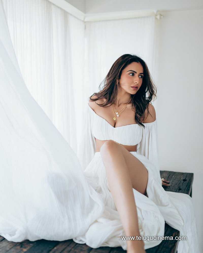 rakul stills 201124 04
