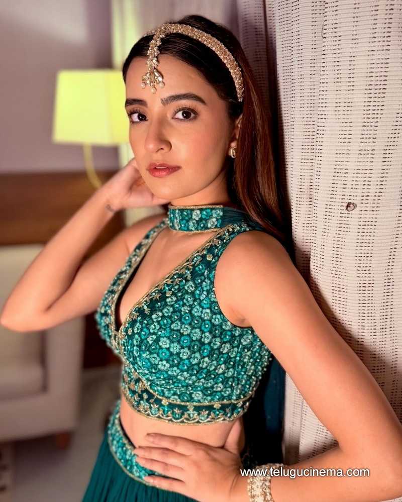 rukshar stills 18124 02