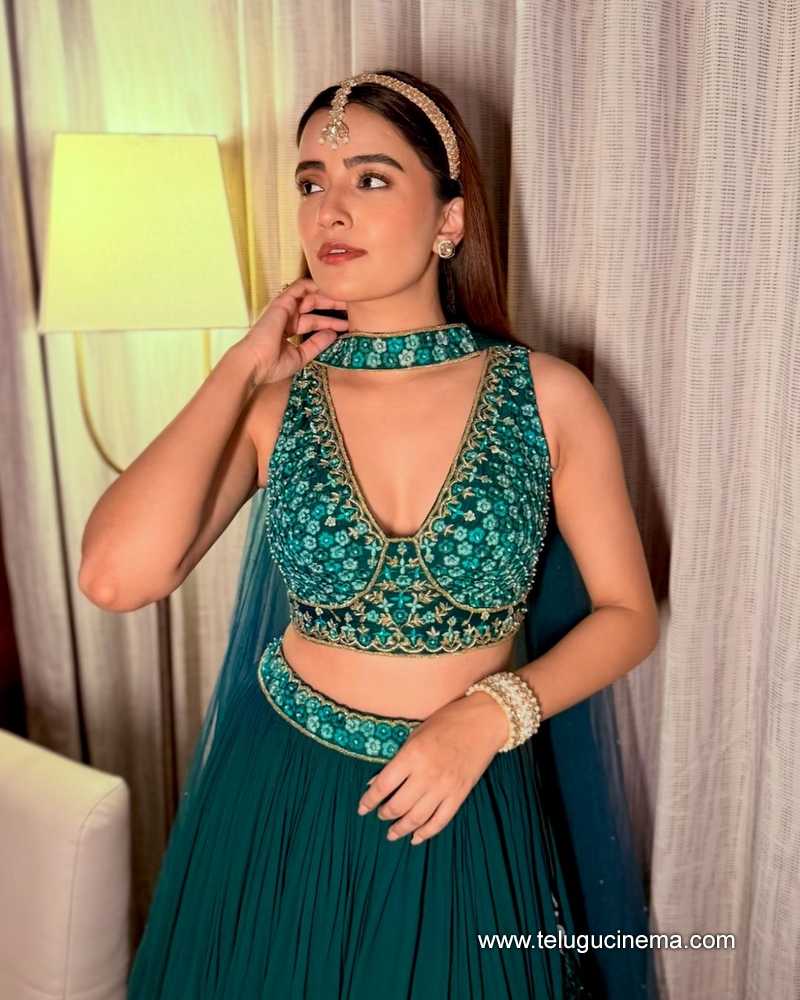rukshar stills 18124 03