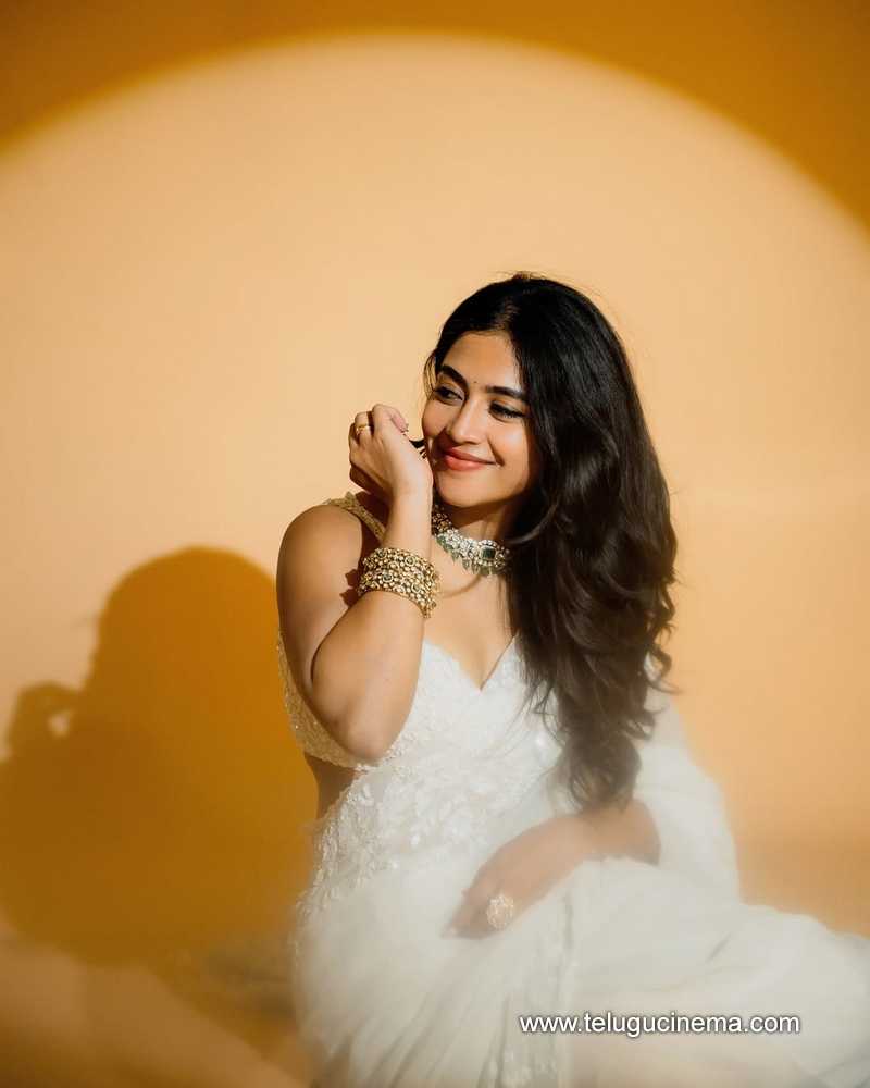 sampada stills 301124 02