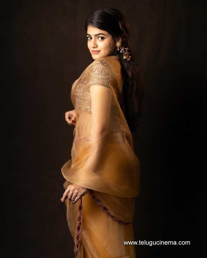 sangeerthana stills 111124 01