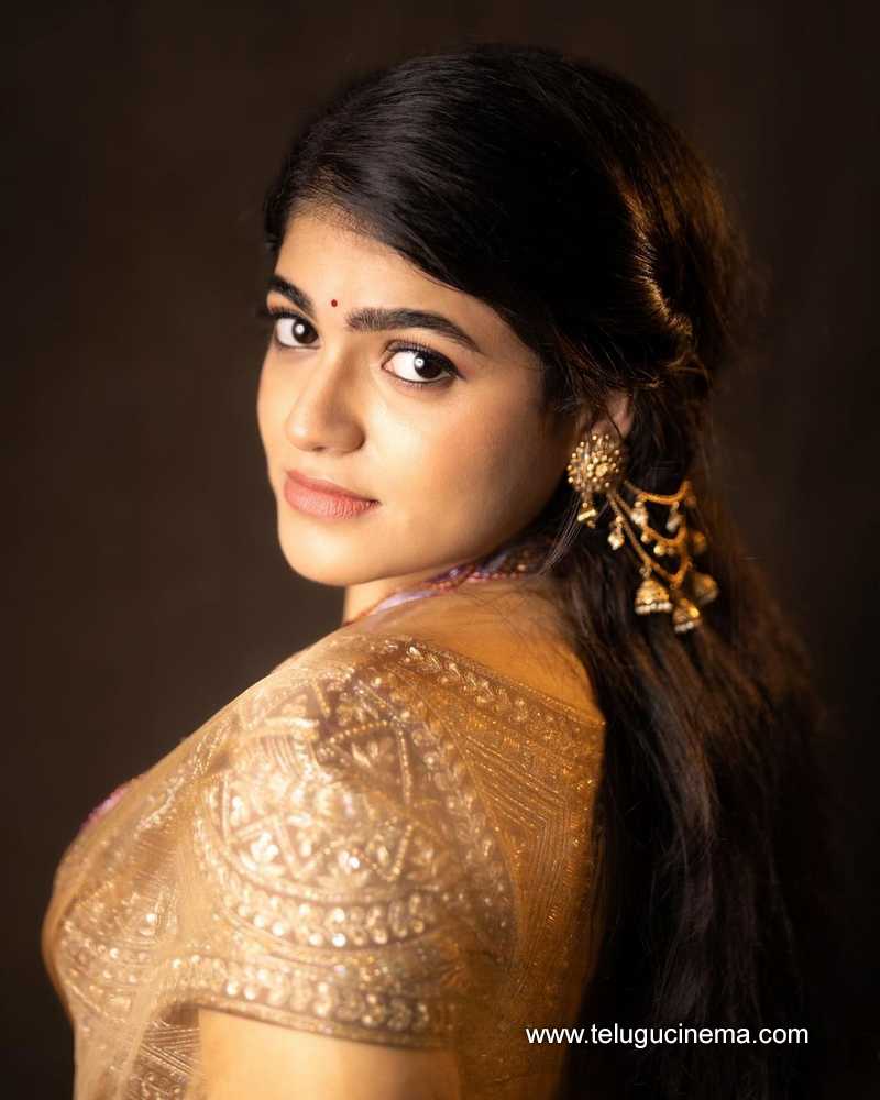 sangeerthana stills 111124 04