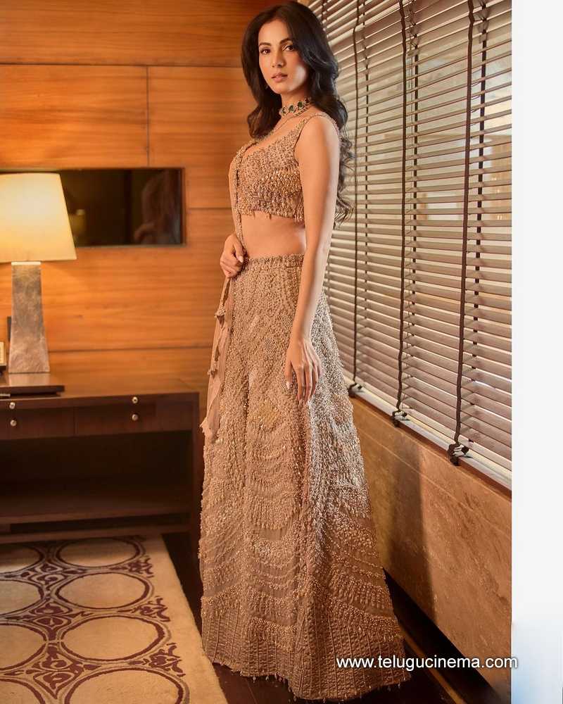 sonal stills 111124 04
