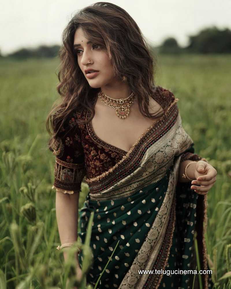 sreeleela stills 041124 02