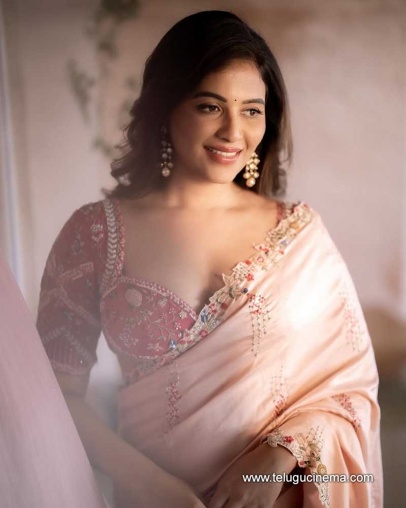 anjali still 31012505